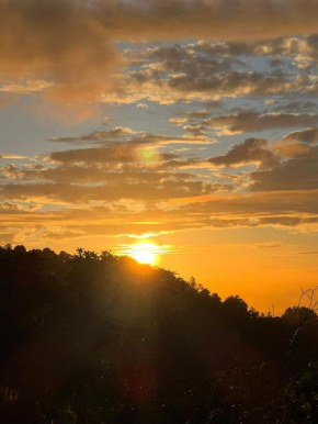 Adella's Blue Mountain Coffee Farmstay